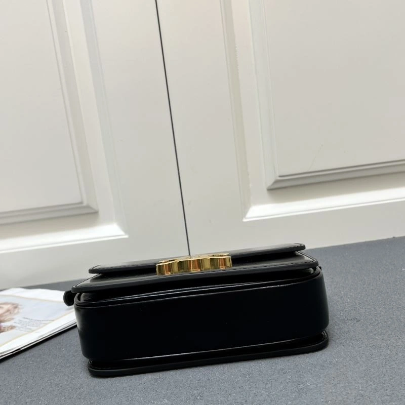 Modern Celine Satchel Bags 84505