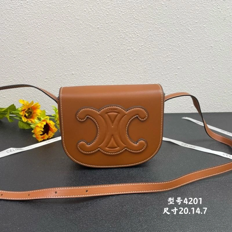 Celine Satchel Bags Colorful 84512