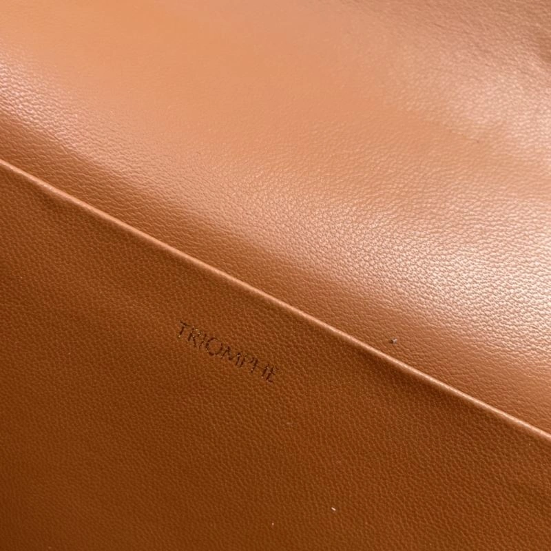 Unique Celine Satchel Bags 84469