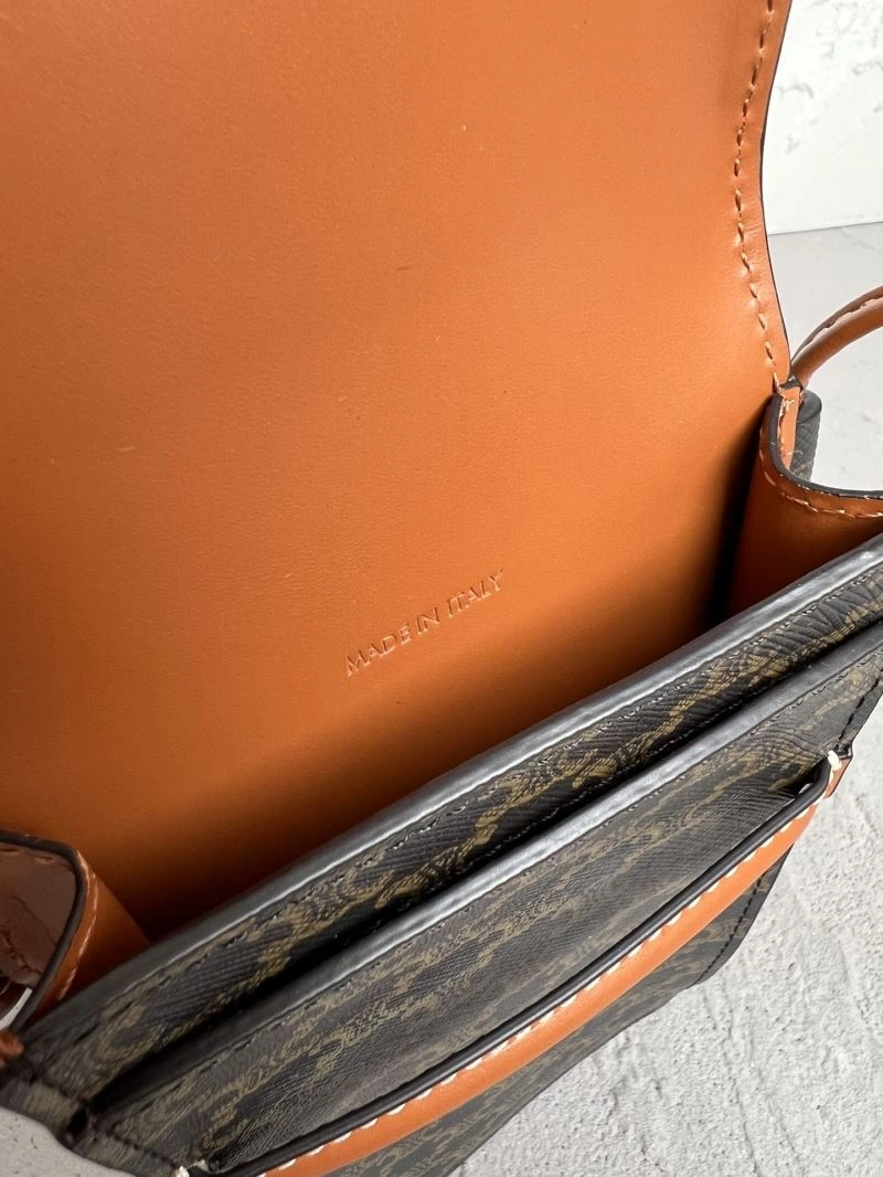 Elegant Celine Satchel Bags 77233