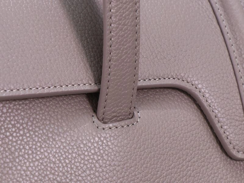 Neat Celine Satchel Bags 77237
