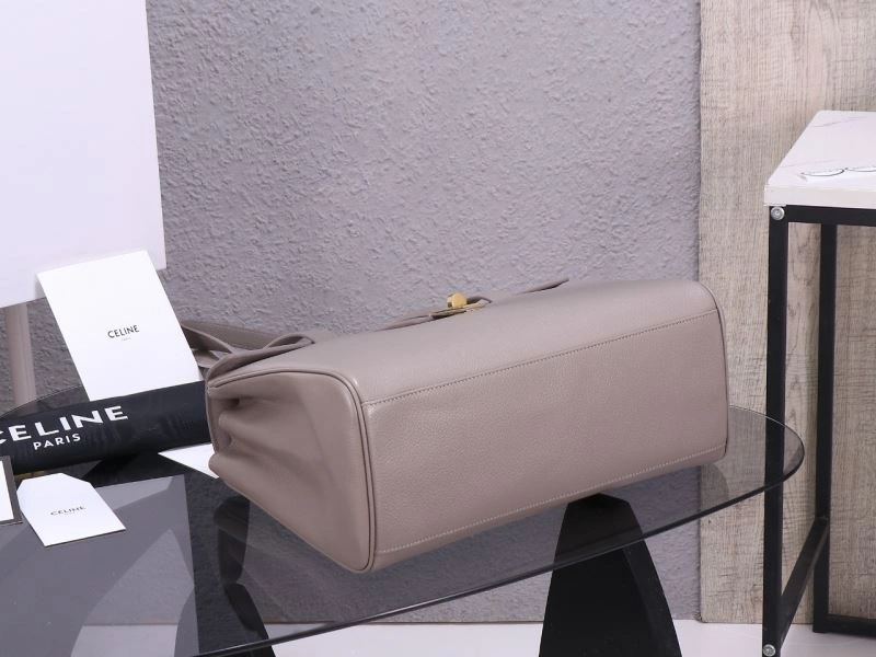 Neat Celine Satchel Bags 77237