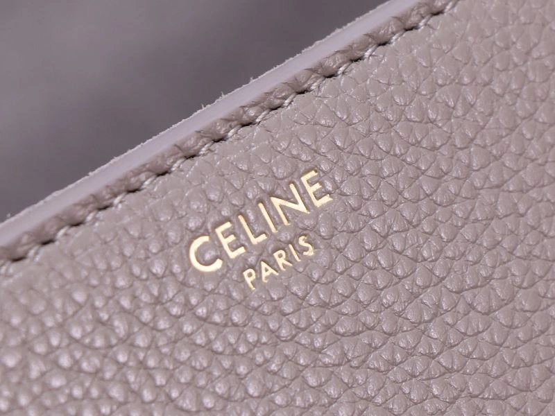 Neat Celine Satchel Bags 77237
