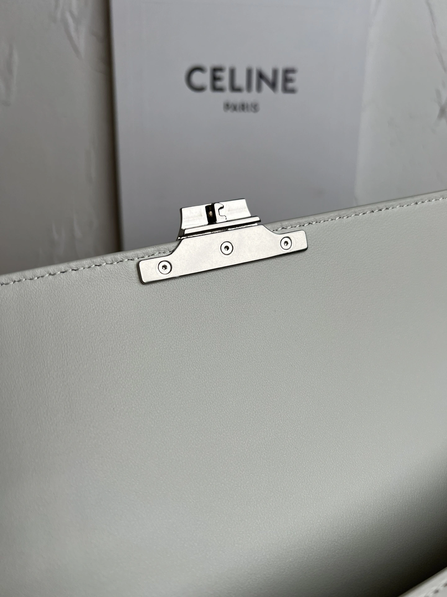 Sustainable Celine Satchel Bags 73706