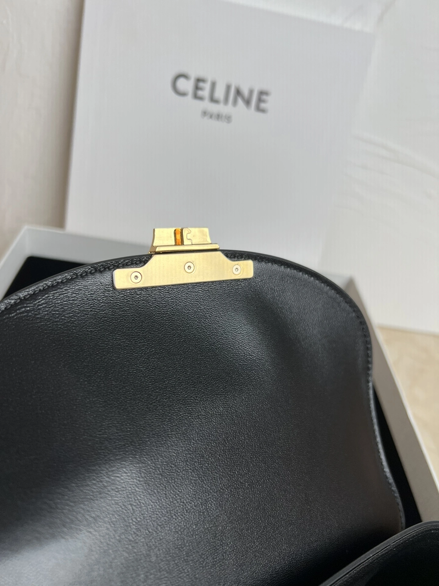 OdorResistant Celine Satchel Bags 67079