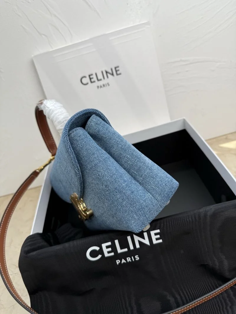 Neat Celine Satchel Bags 51588