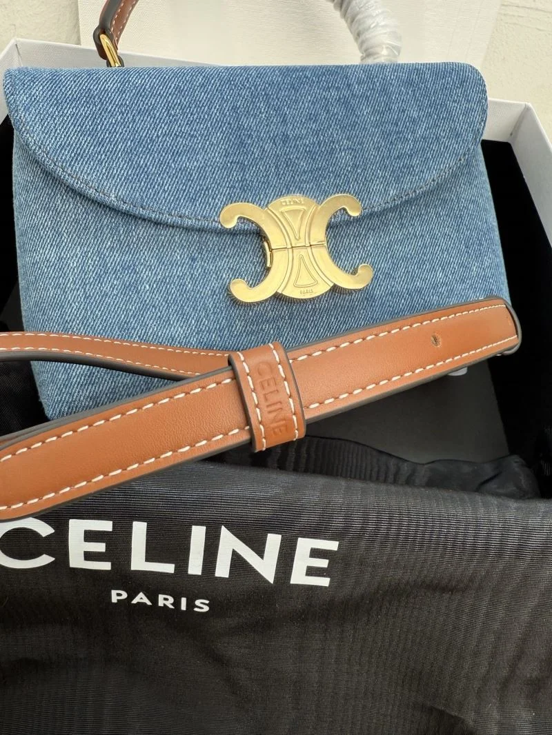 Neat Celine Satchel Bags 51588