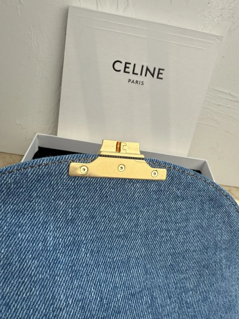Neat Celine Satchel Bags 51588