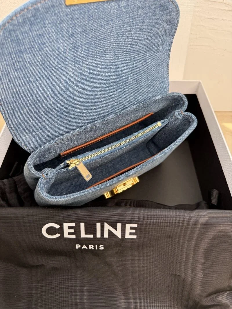 Neat Celine Satchel Bags 51588