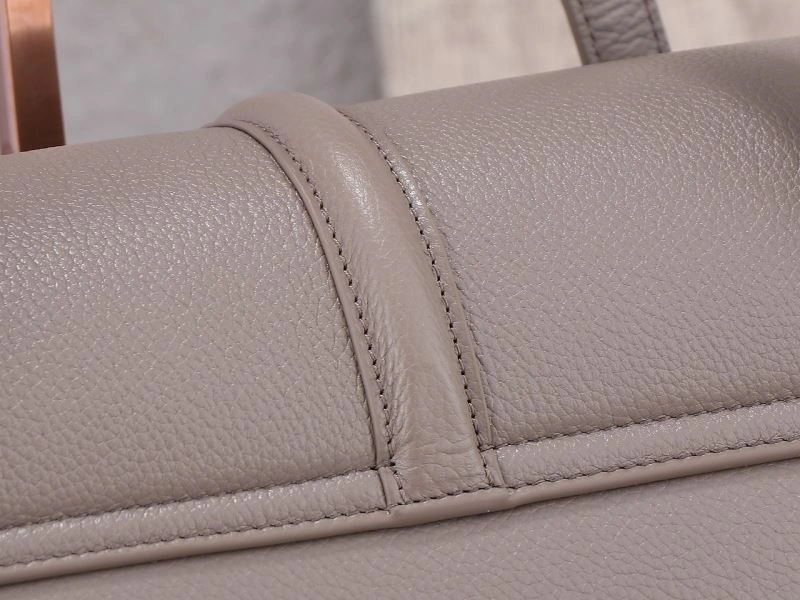 MultiPurpose Celine Satchel Bags 94815