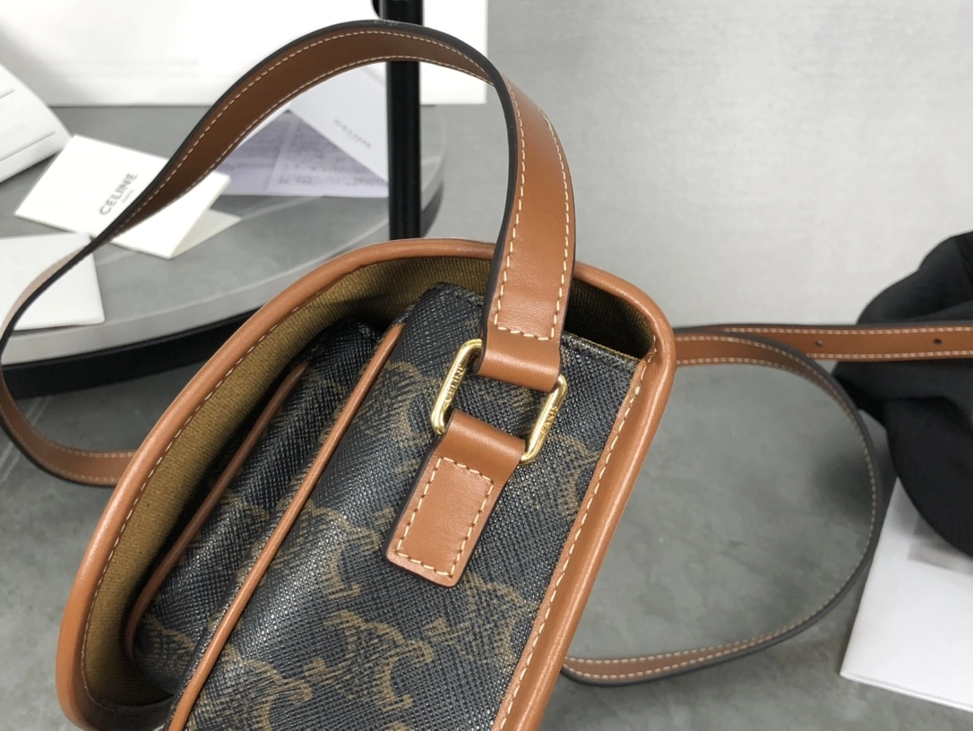 EyeCatching Celine Satchel Bags 94570
