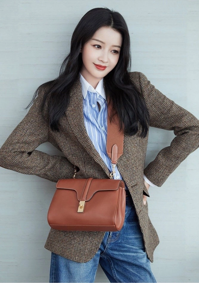 Celine Satchel Bags ZeroBulk 94557