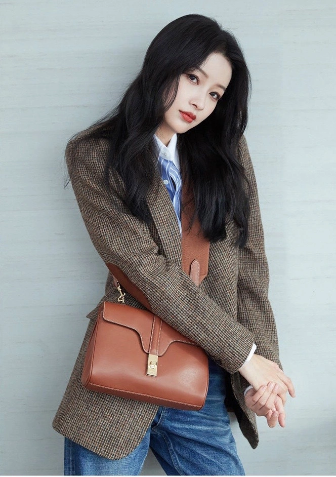 Celine Satchel Bags ZeroBulk 94557