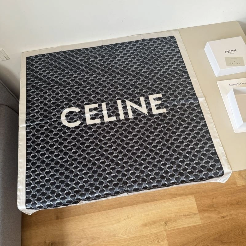 Trendy Celine Scarf 270829