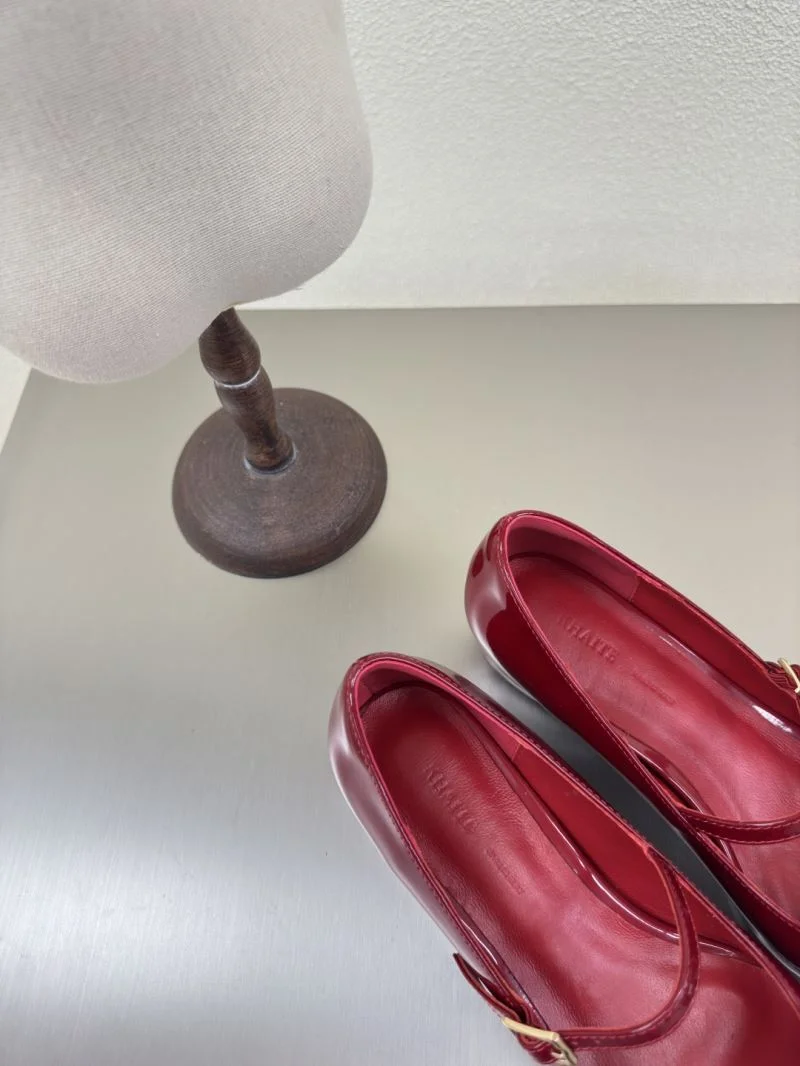 MultiPurpose Celine Shoes 12580