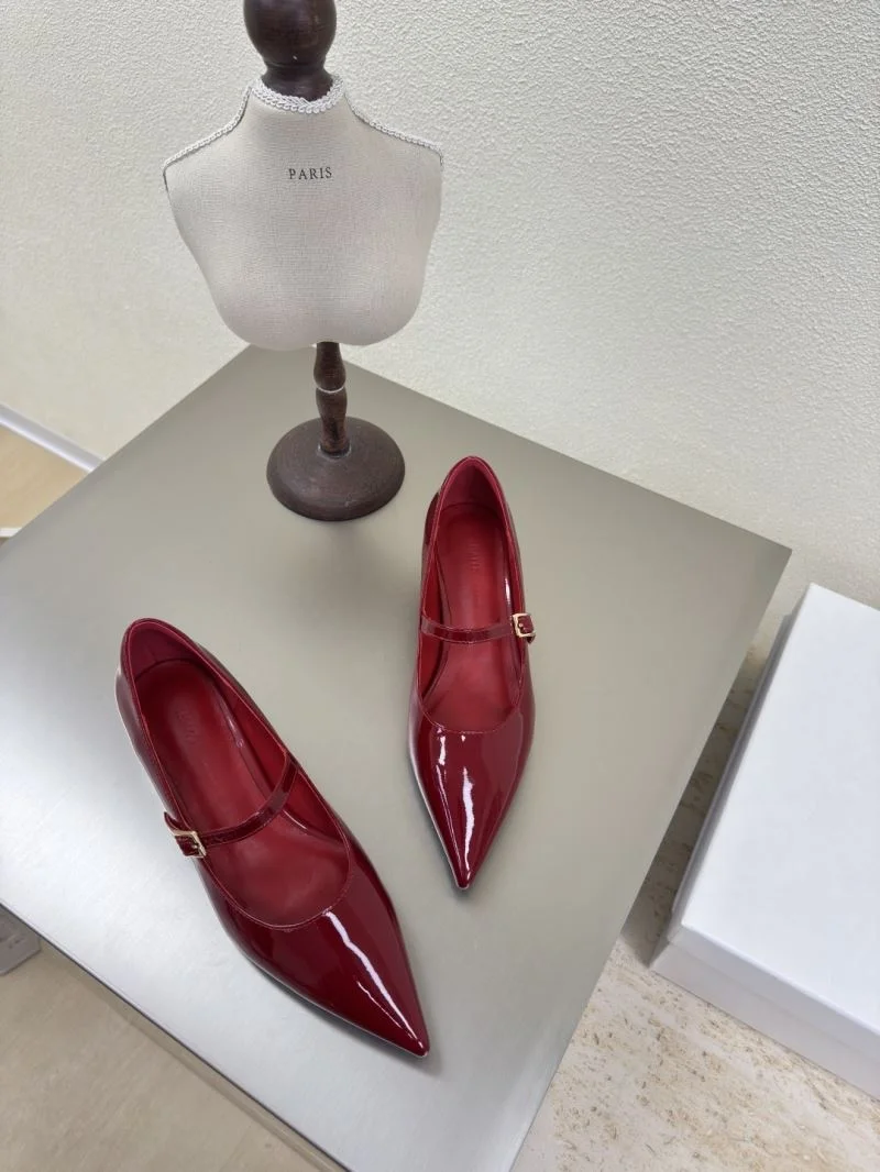 MultiPurpose Celine Shoes 12580