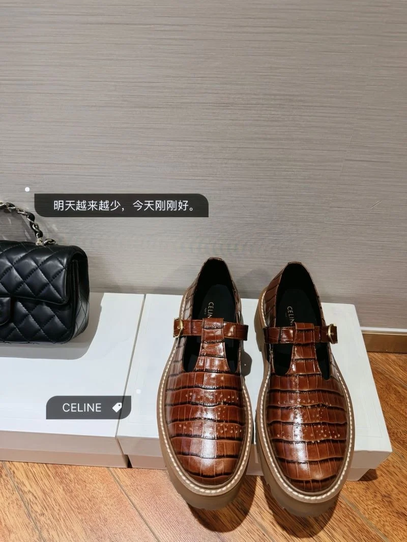 Celine Shoes Sleek 15846