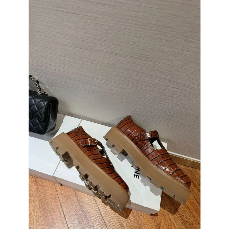 Celine Shoes Sleek 15846
