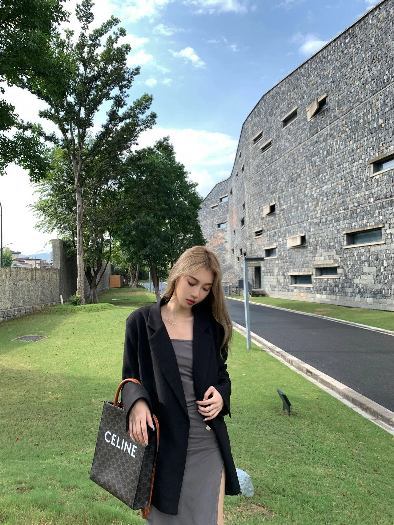 GoAnywhere Celine Shopping Bags 94542