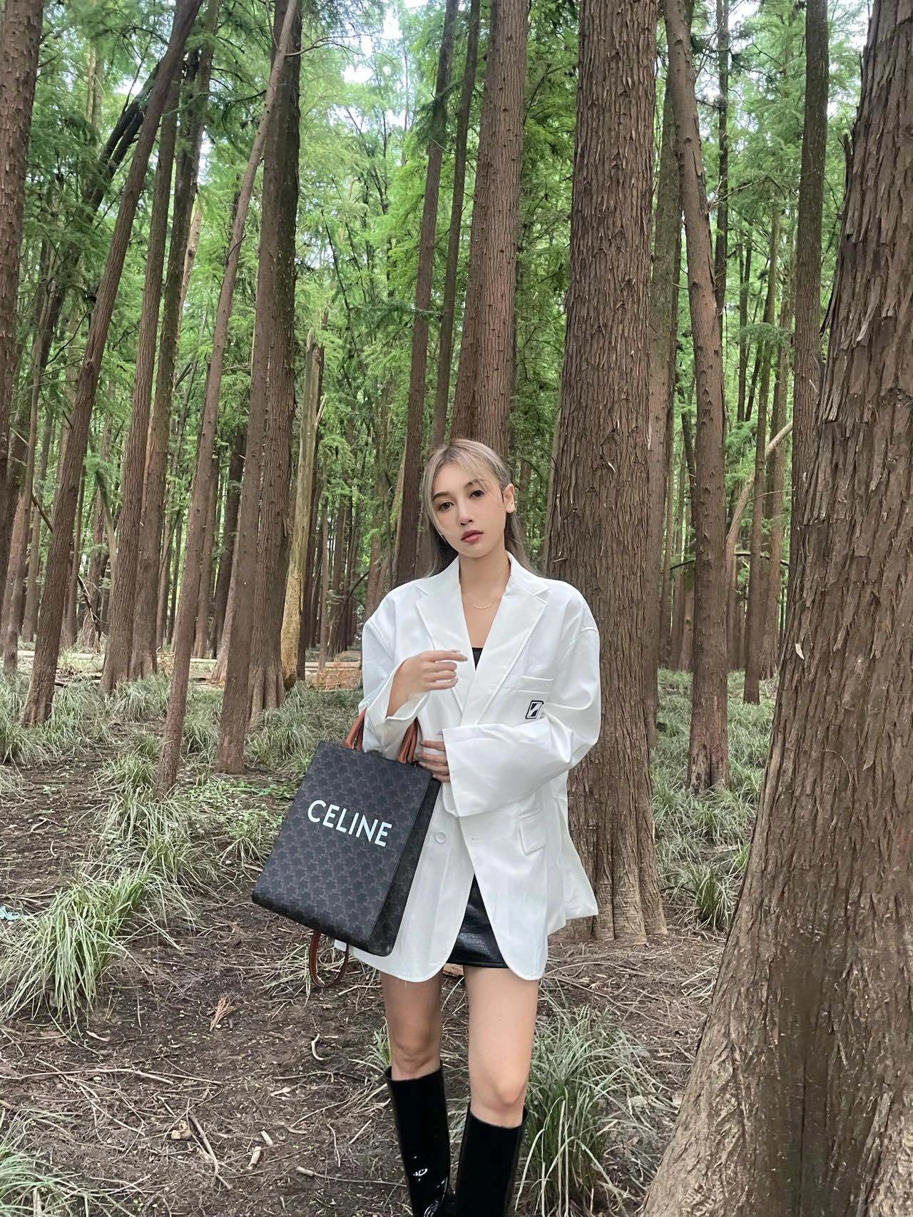 GoAnywhere Celine Shopping Bags 94542