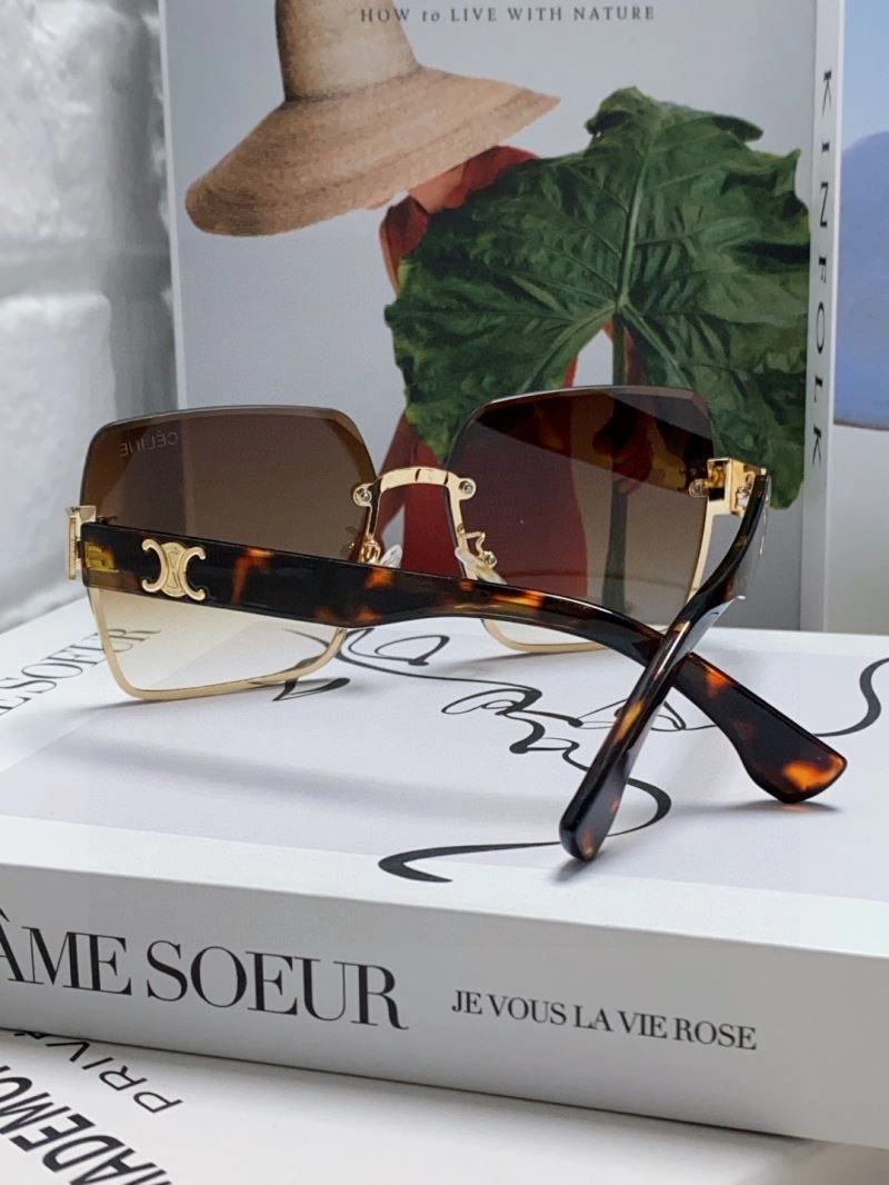 Colorful Celine Sunglasses 277863