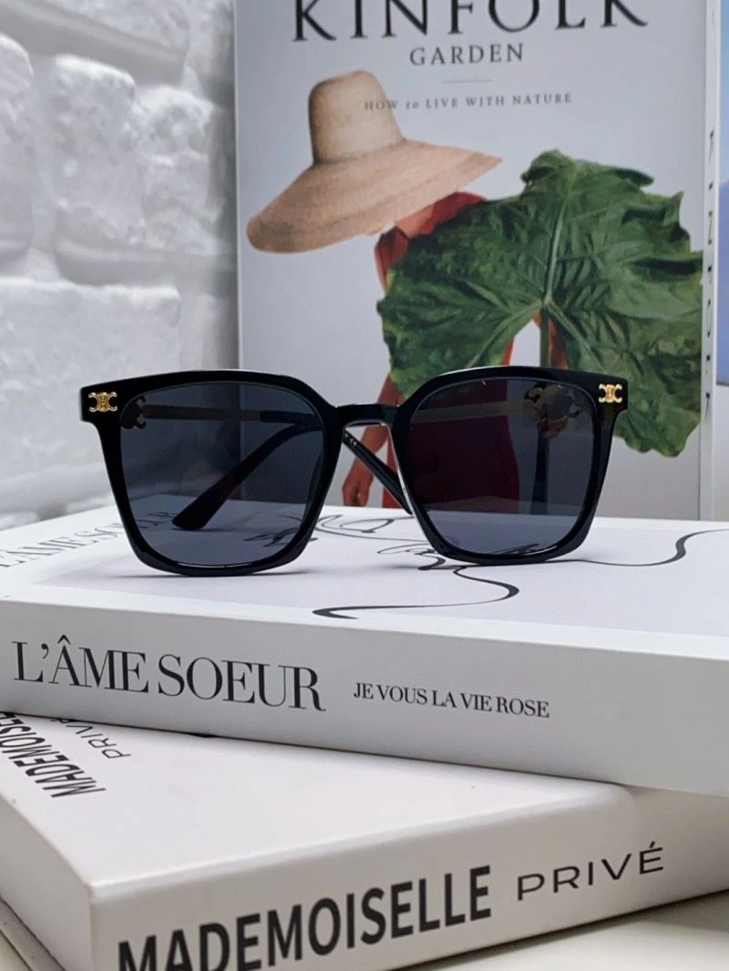 SmartChoice Celine Sunglasses 277815