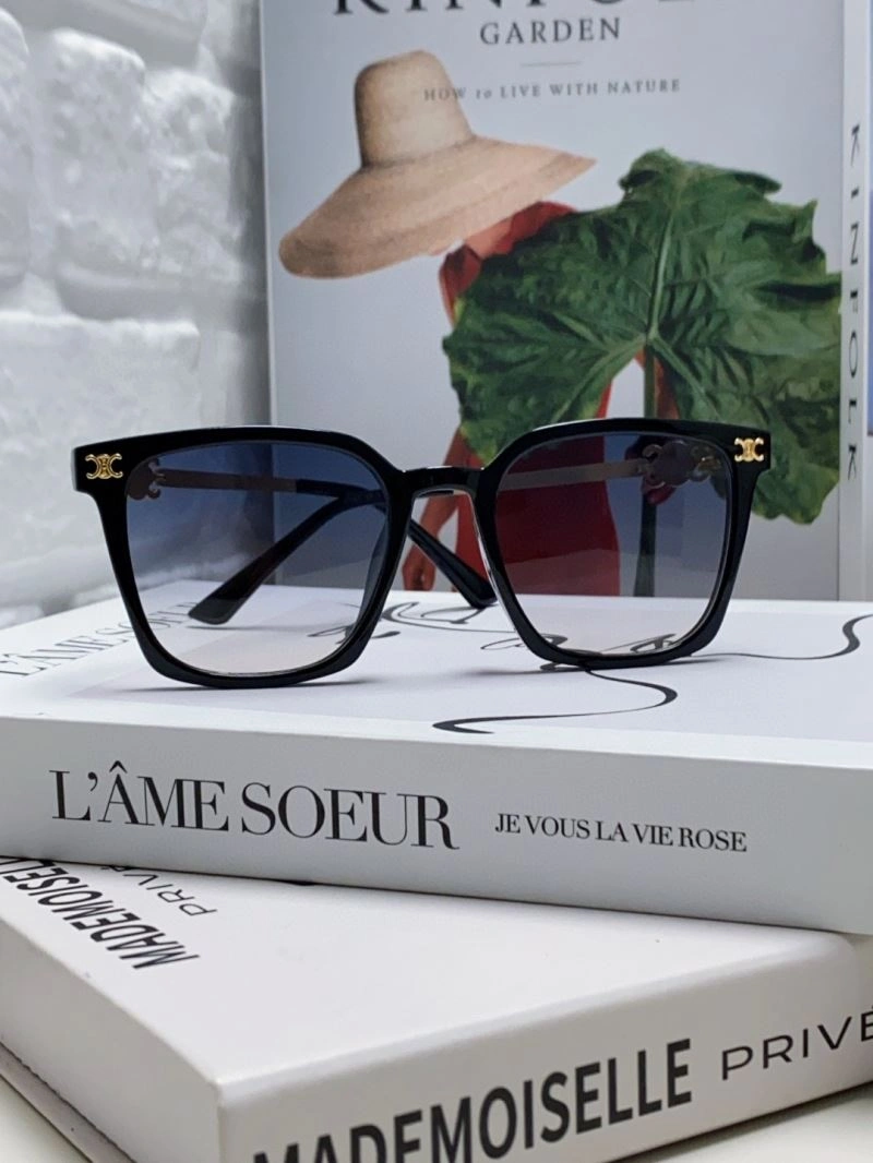 Celine Sunglasses Neat 277803