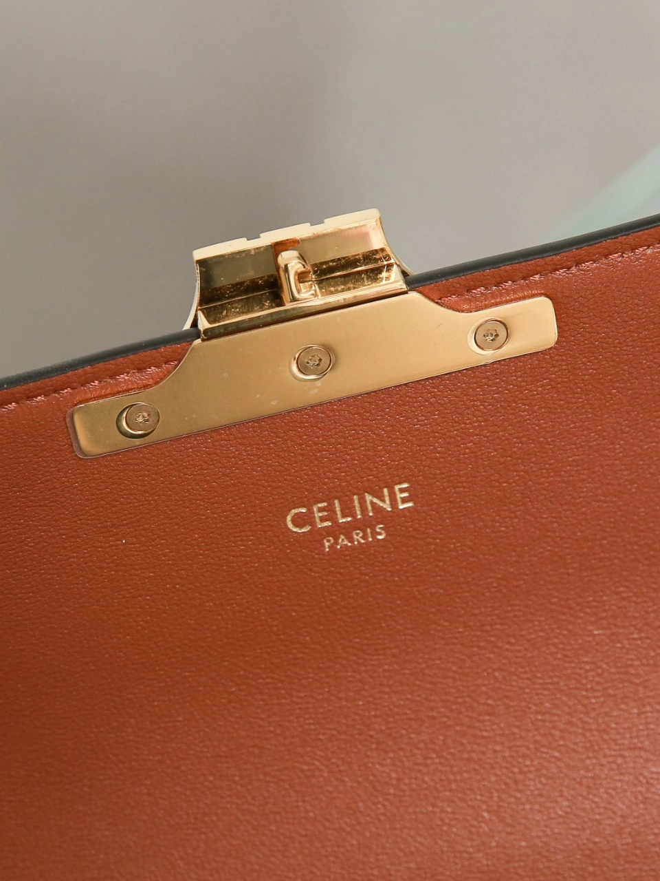 Celine Triomphe Bags DailyWear 78410