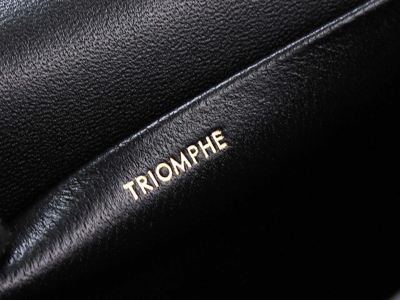 Refined Celine Triomphe Bags 78404