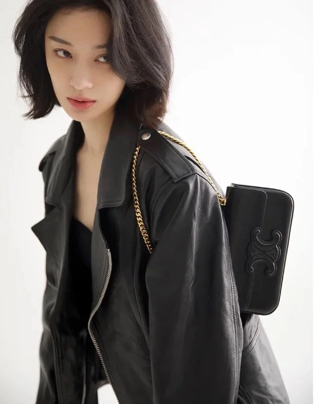 Refined Celine Triomphe Bags 78404