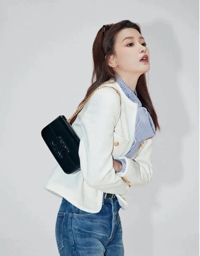 Refined Celine Triomphe Bags 78404