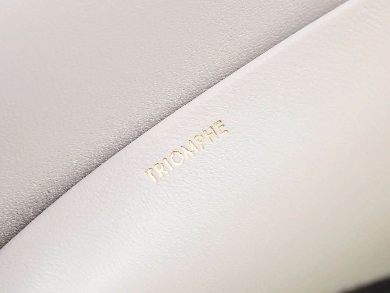 Casual Celine Triomphe Bags 78401