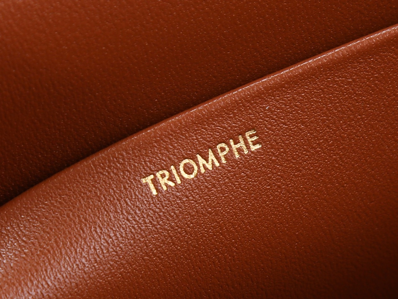 WeatherProof Celine Triomphe Bags 78396