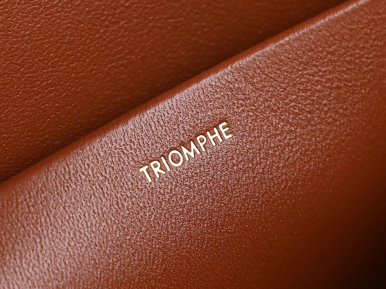 SmartChoice Celine Triomphe Bags 78388