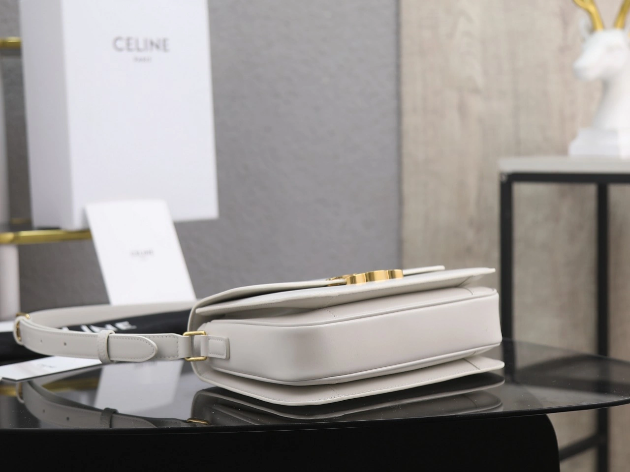 Sustainable Celine Triomphe Bags 78394