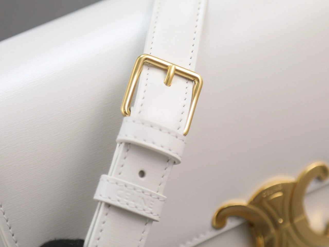 Sustainable Celine Triomphe Bags 78394