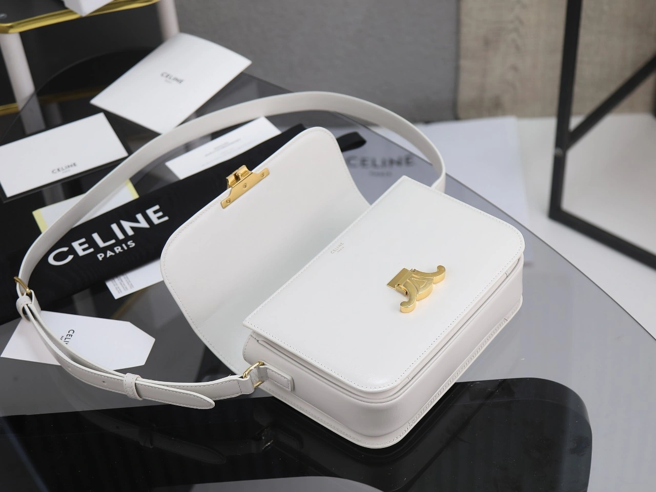 Sustainable Celine Triomphe Bags 78394