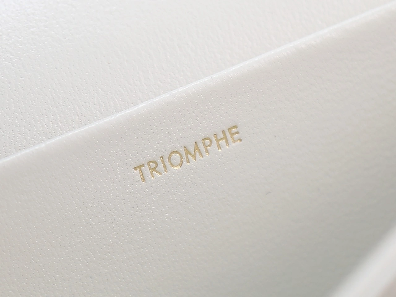 Sustainable Celine Triomphe Bags 78394