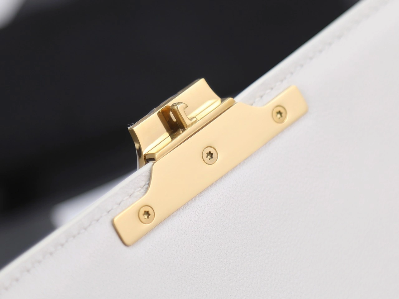 Sustainable Celine Triomphe Bags 78394