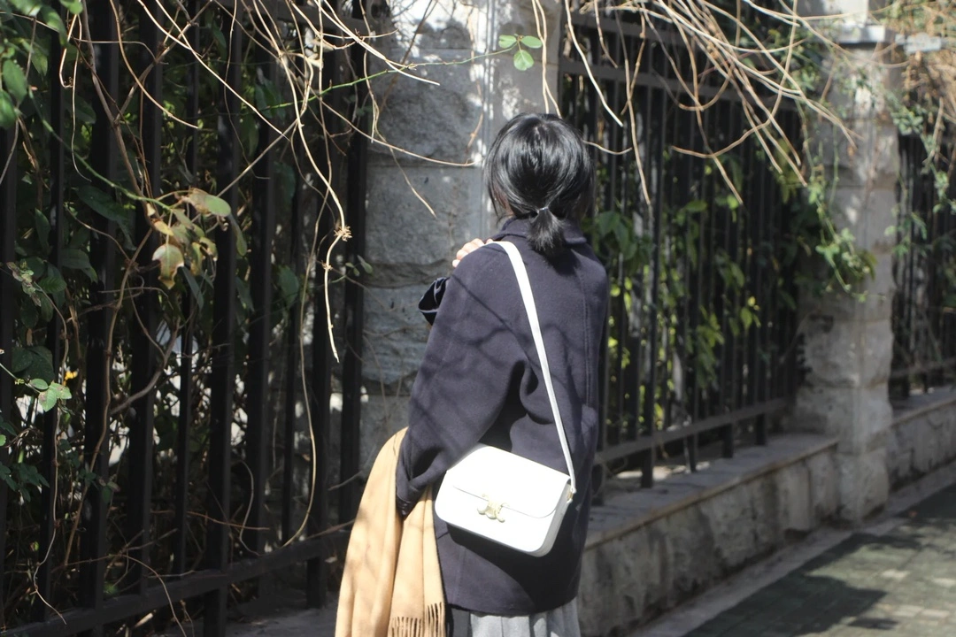 Sustainable Celine Triomphe Bags 78394