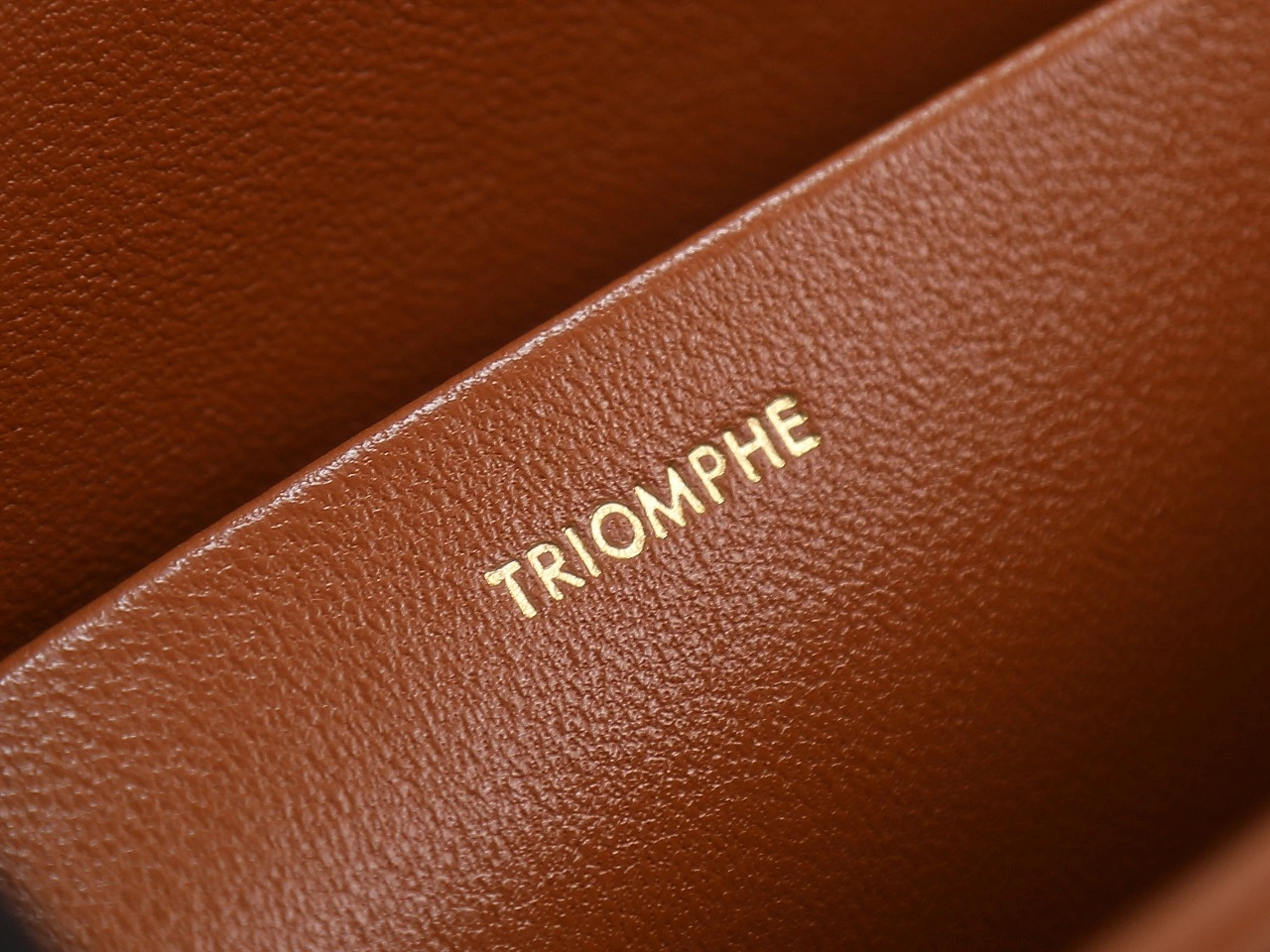 Thermal Celine Triomphe Bags 78386