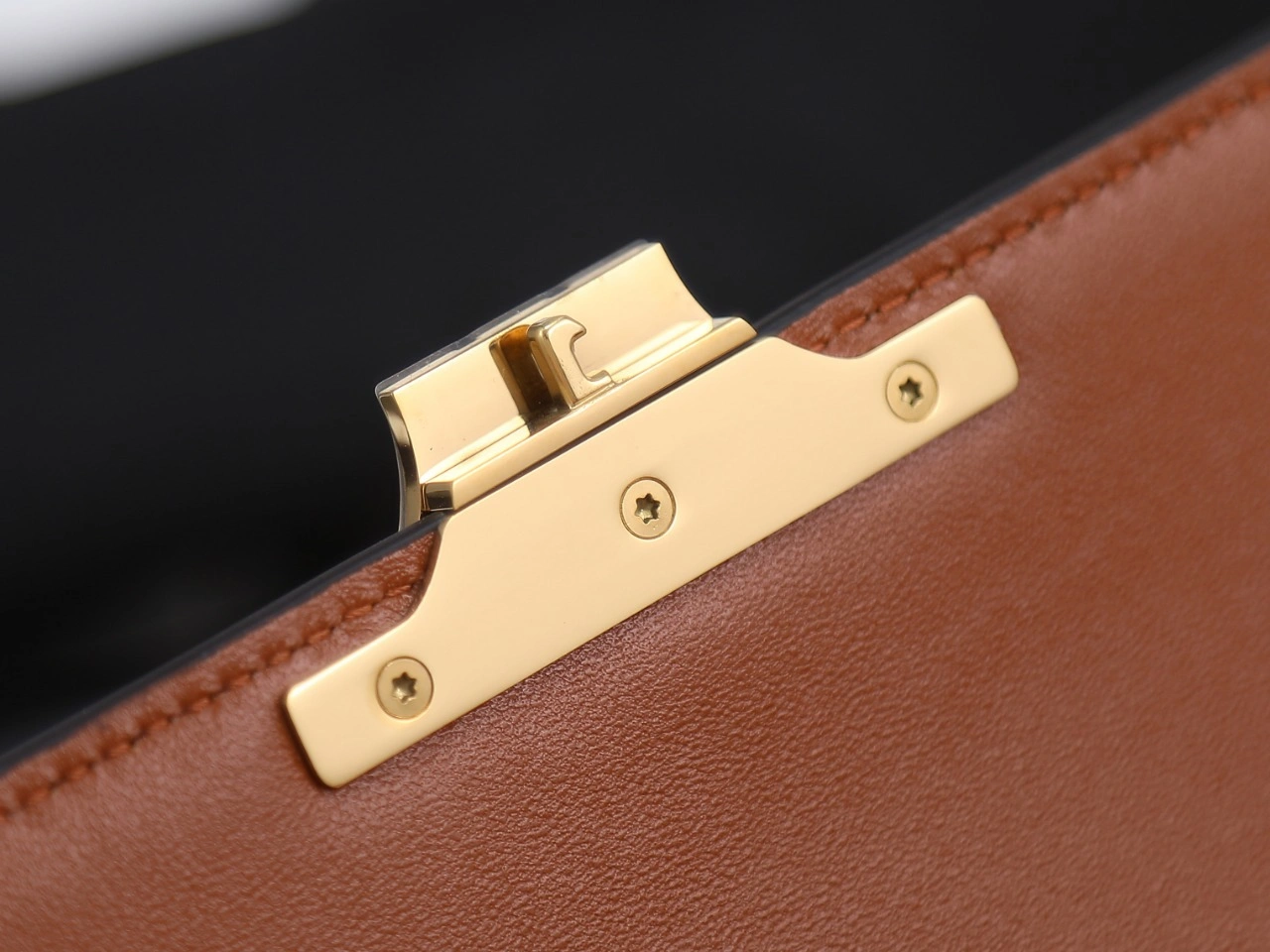 Thermal Celine Triomphe Bags 78386