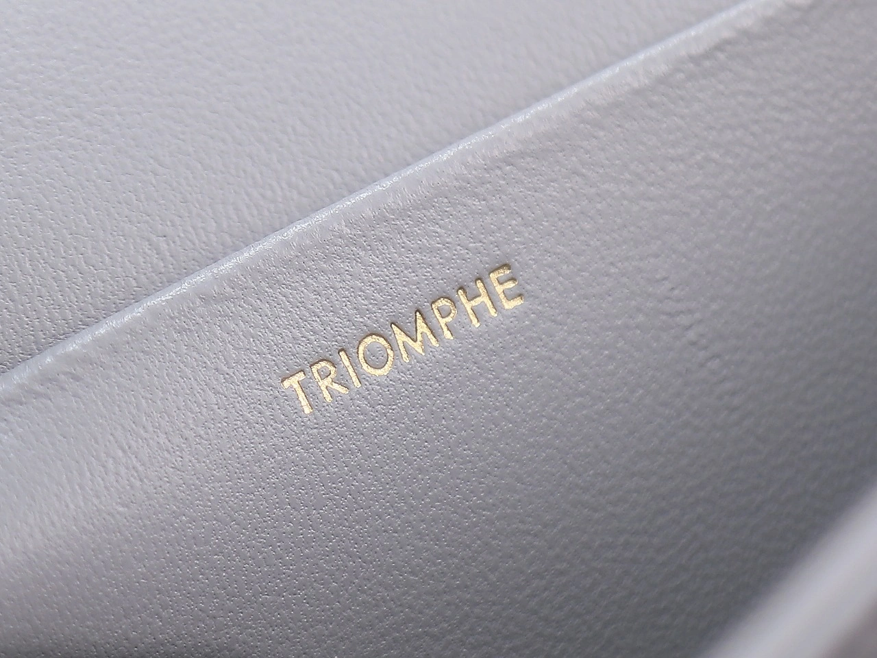Celine Triomphe Bags Lightweight 78405