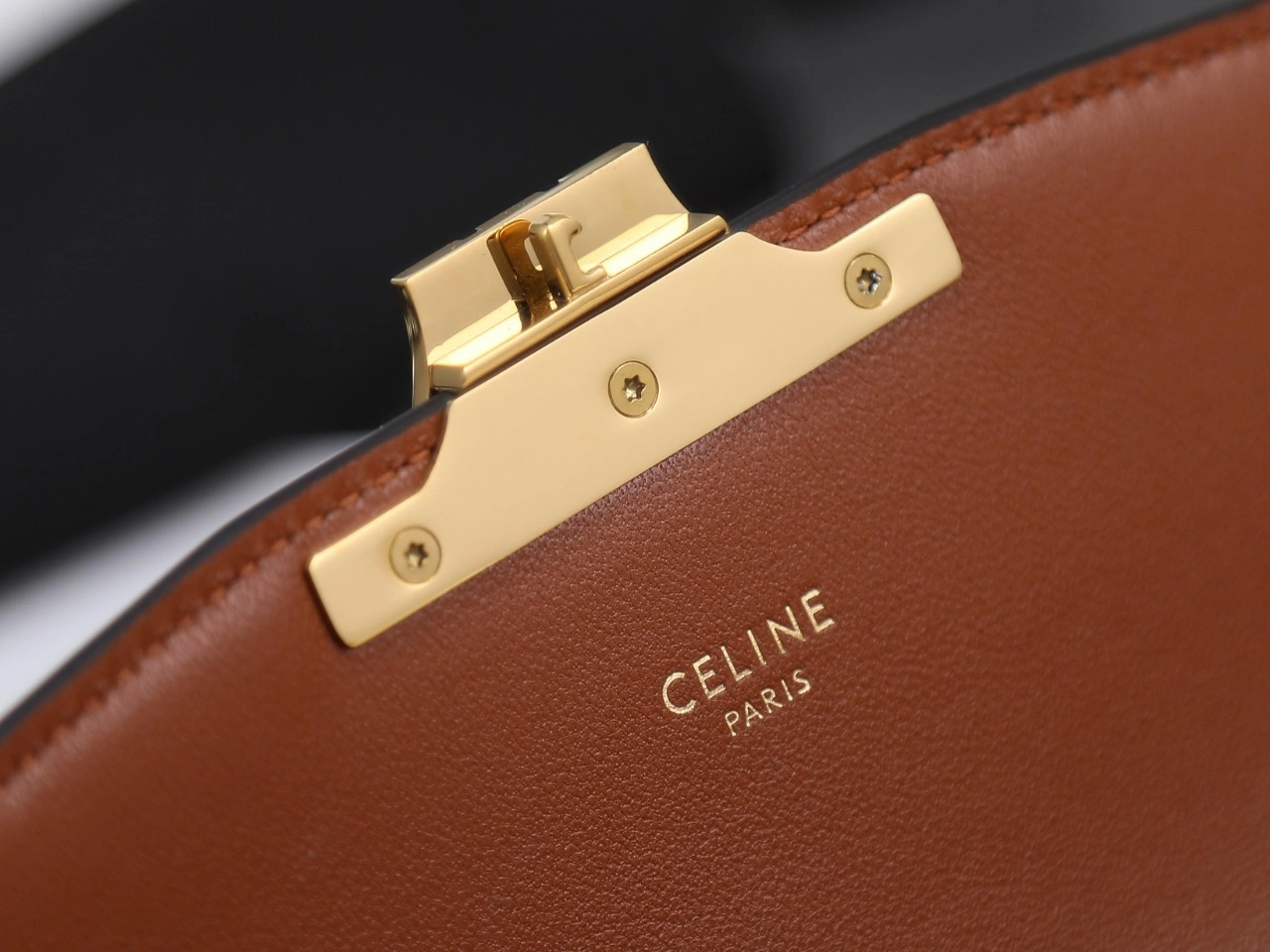 Celine Triomphe Bags Stretchable 78392