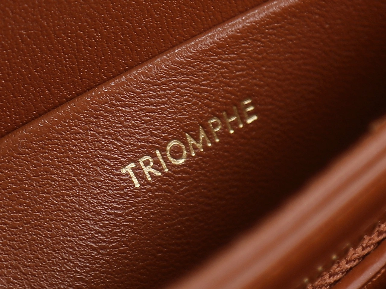 Celine Triomphe Bags Stretchable 78392