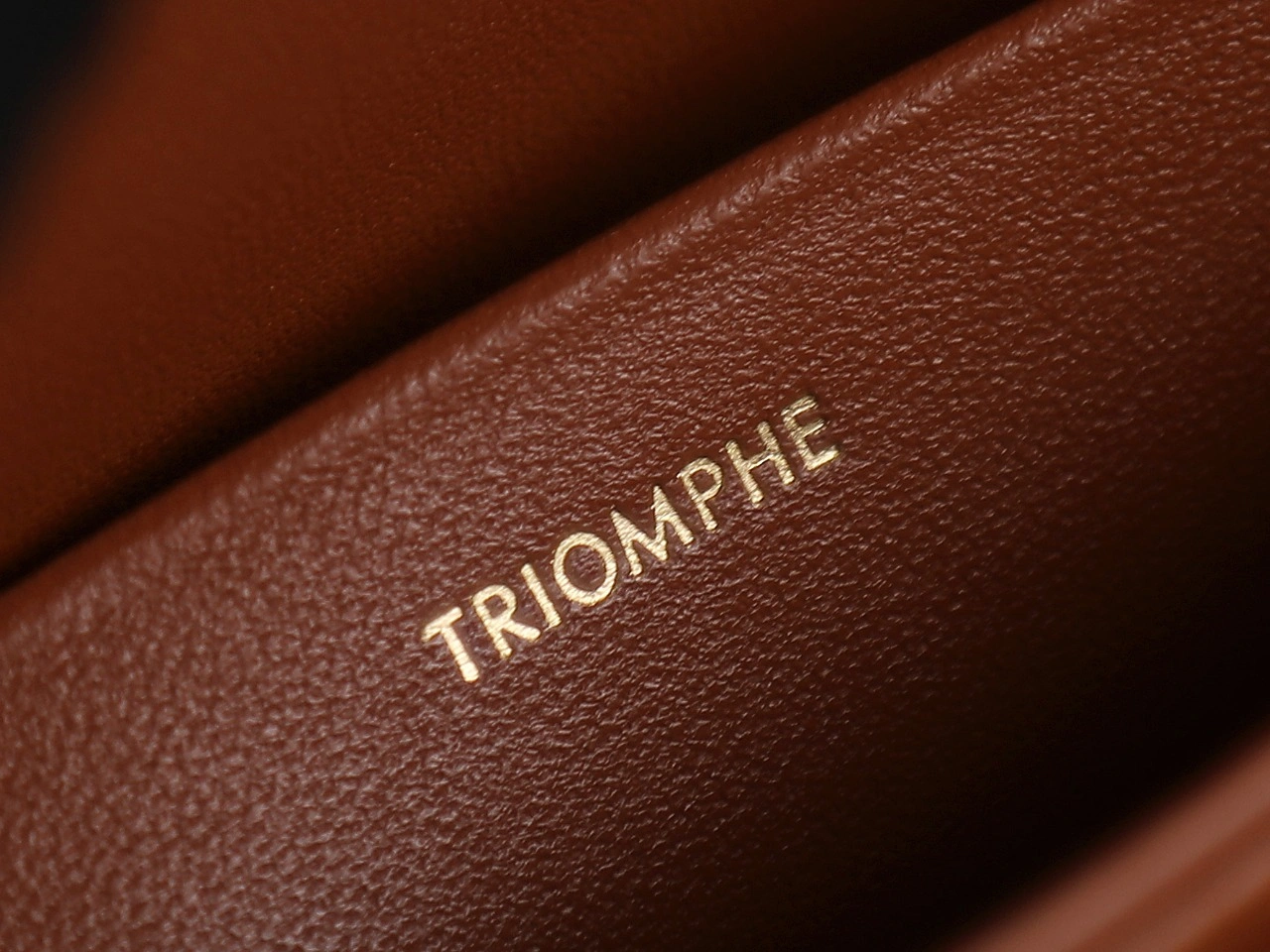 Popular Celine Triomphe Bags 78403