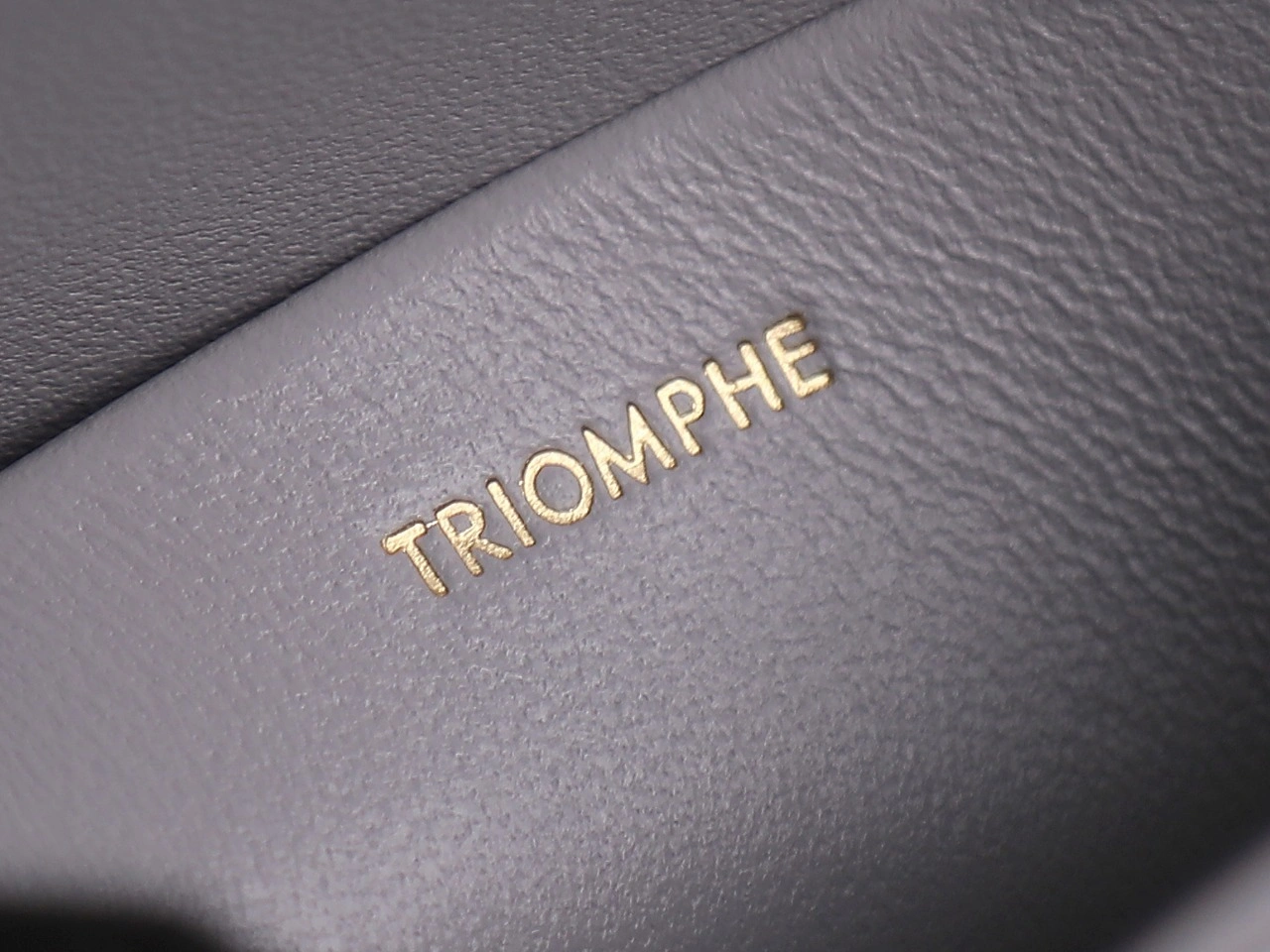 Seasonal Celine Triomphe Bags 78393