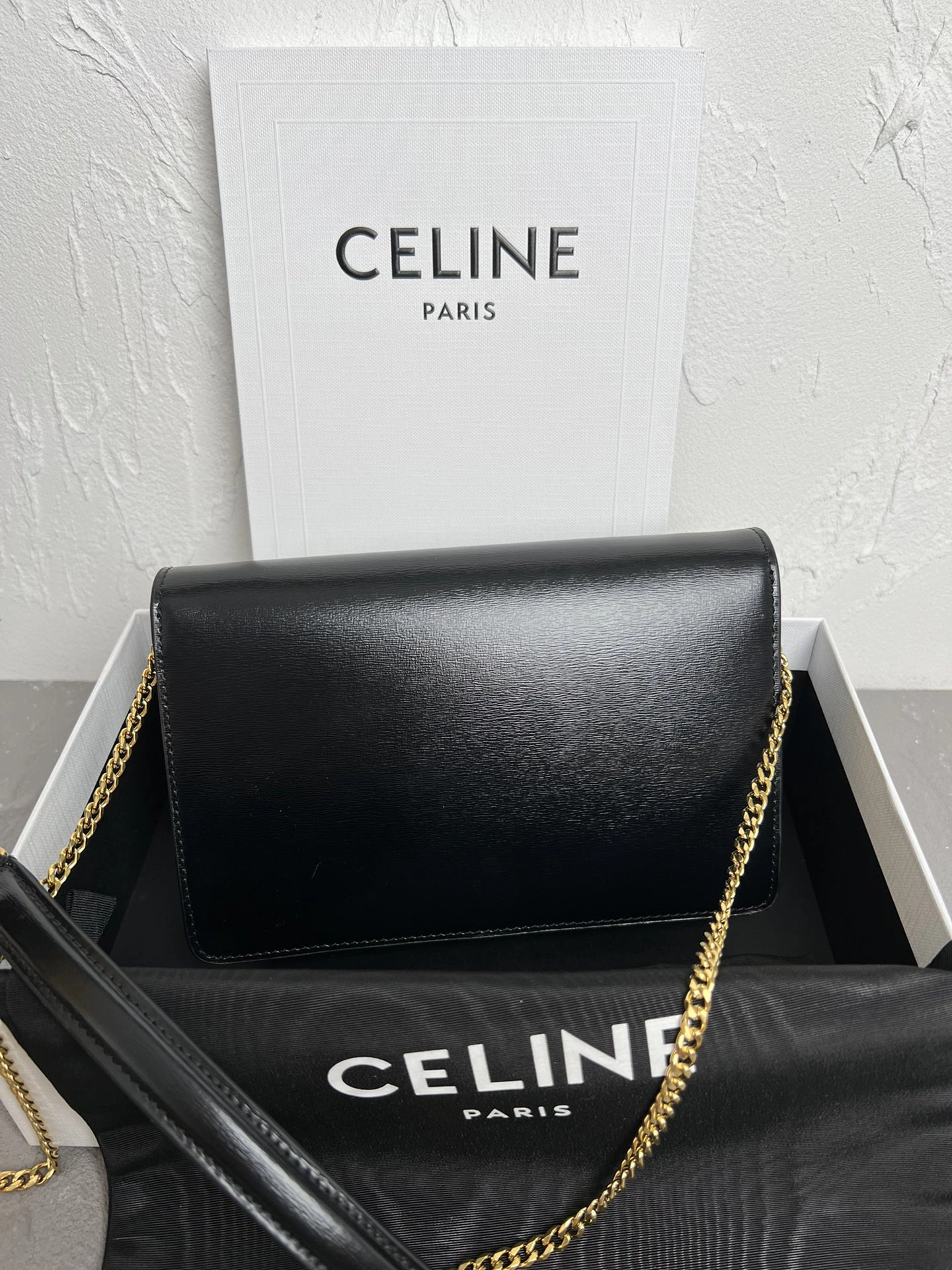 Celine Triomphe Bags Functional 78381