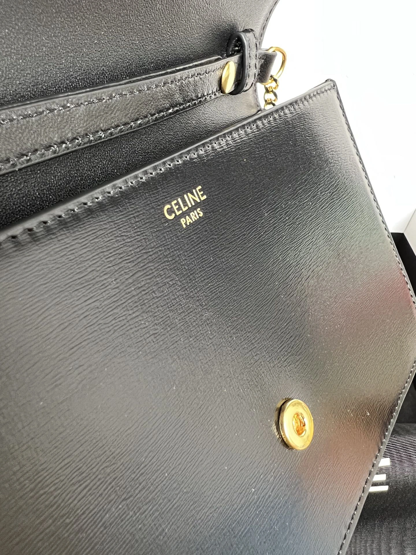 Celine Triomphe Bags Functional 78381