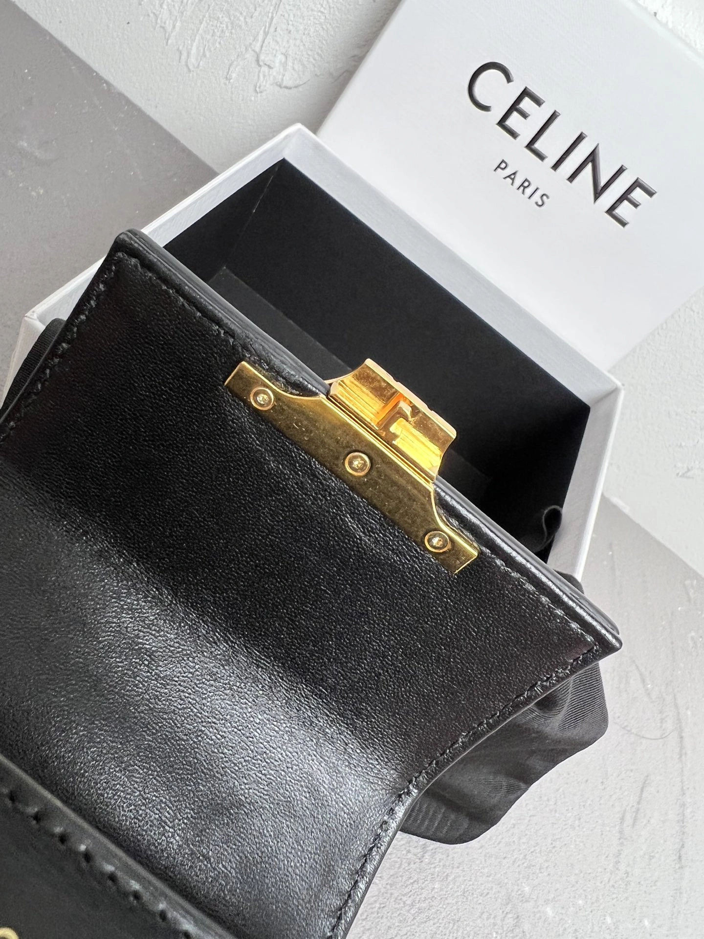 Modern Celine Triomphe Bags 78380